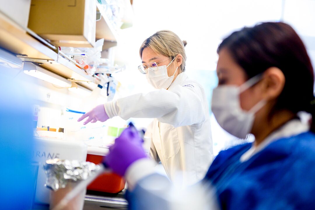 Nephrology - Research