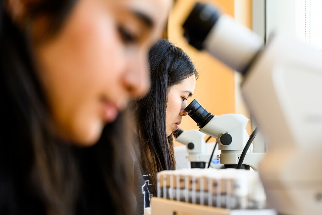 Infectious Diseases and Global Health - Research