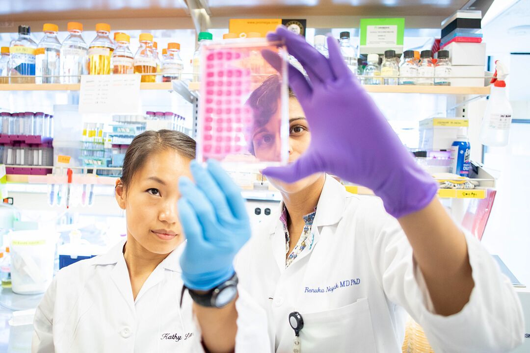 Rheumatology - Research