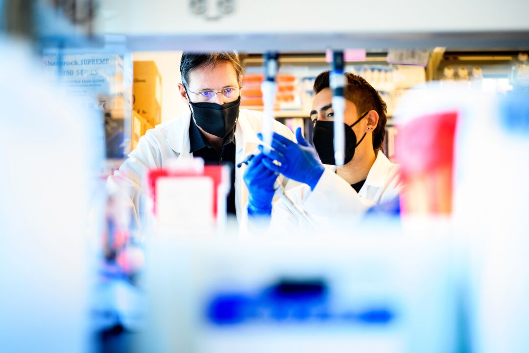 Hospital Medicine - Research