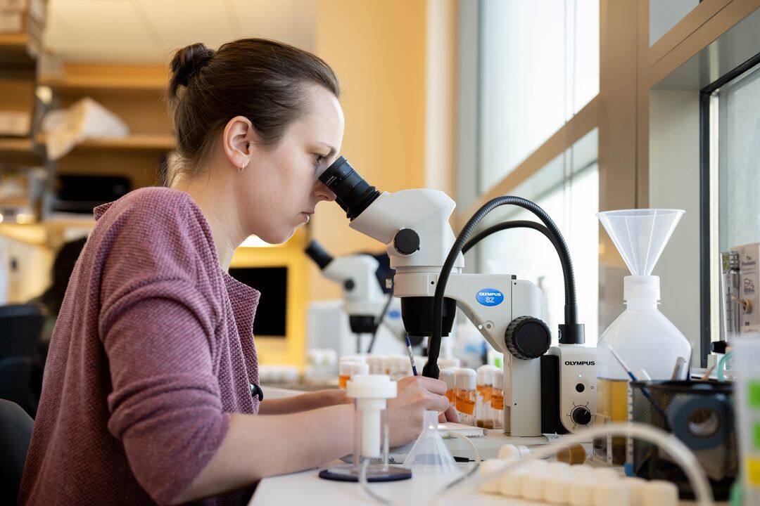 Gastroenterology (GI), Hepatology, Nutrition - Research