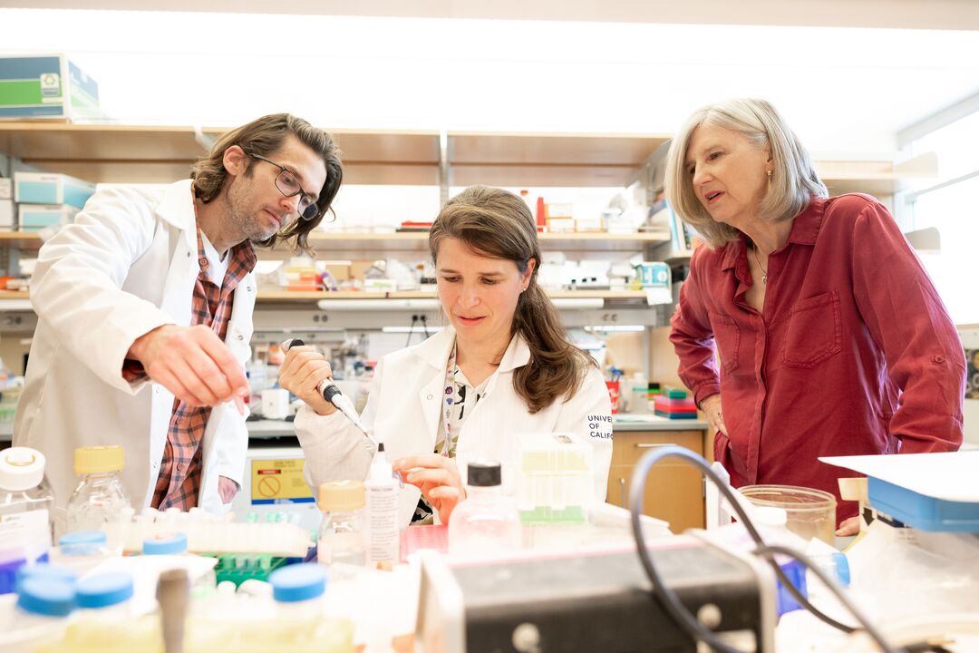 Endocrinology - Research