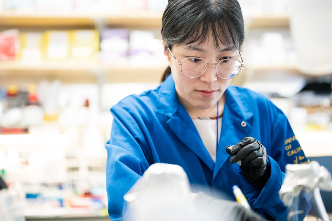 Developmental Medicine - Research
