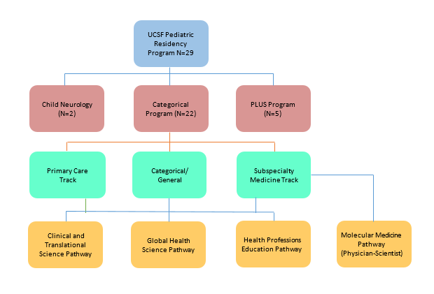 Programs, Tracks and Pathways