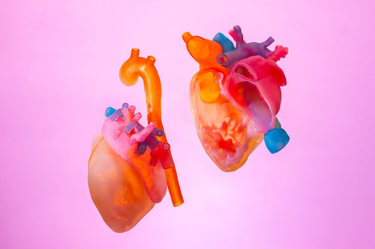 A flat image of a 3D printed heart model, split in half