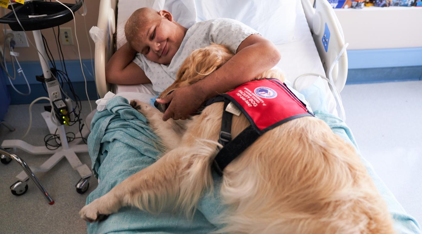 Child lays with service dog on a hospital bed