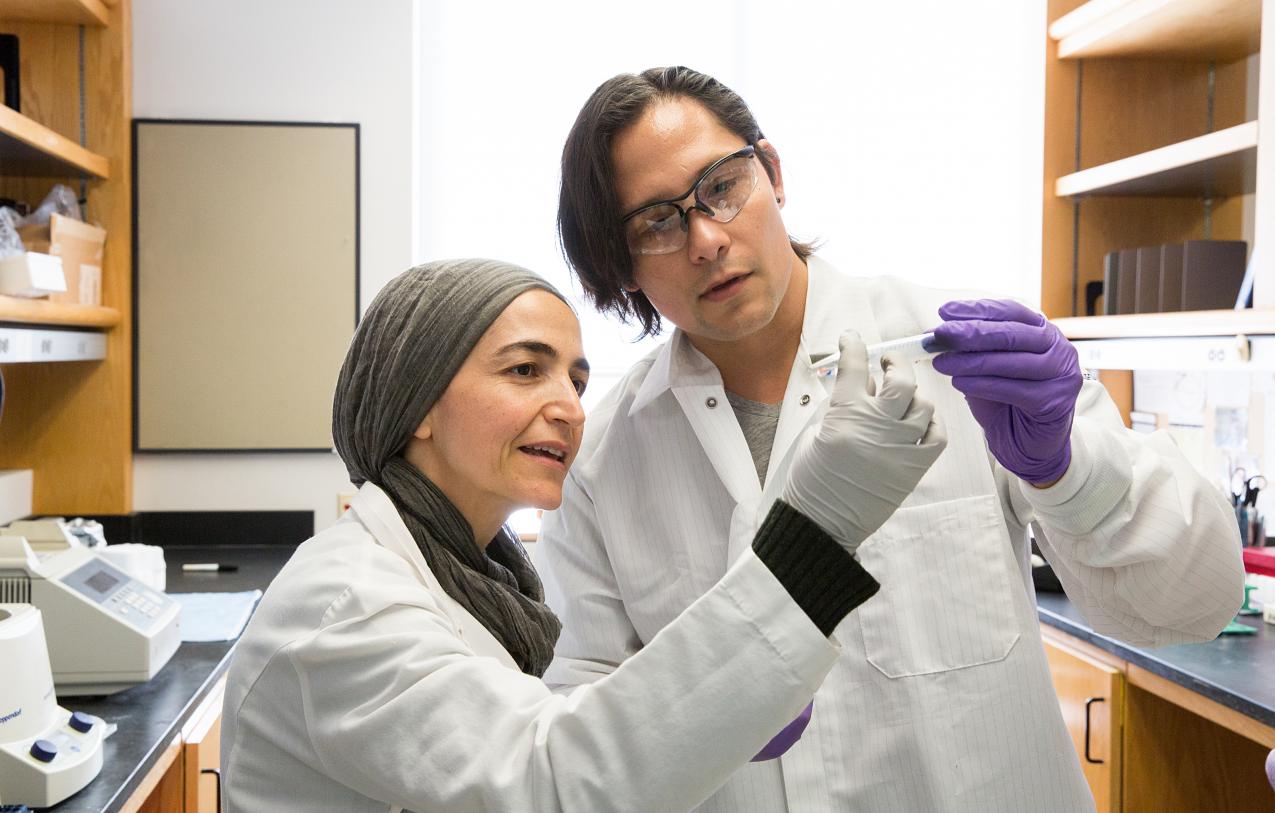 Doctors examine a sample