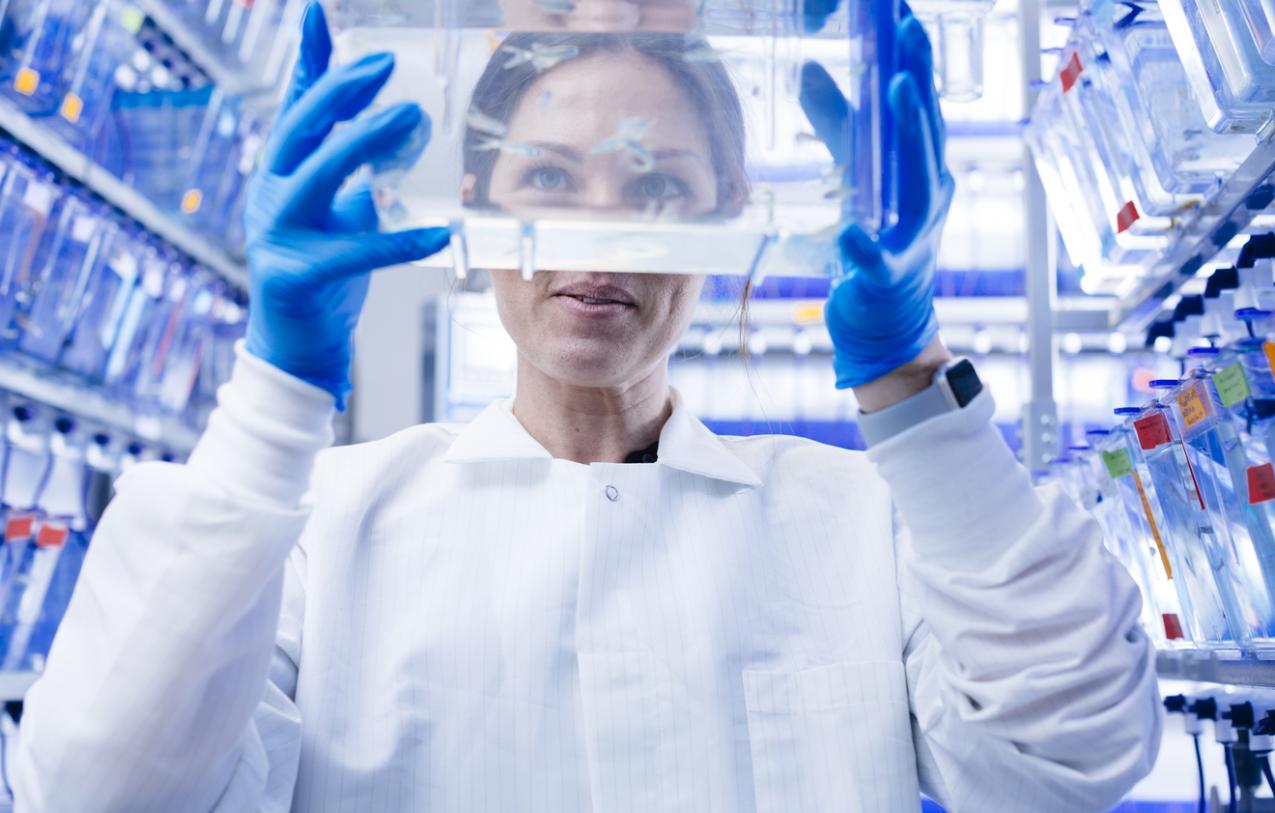 Lab technician examines samples