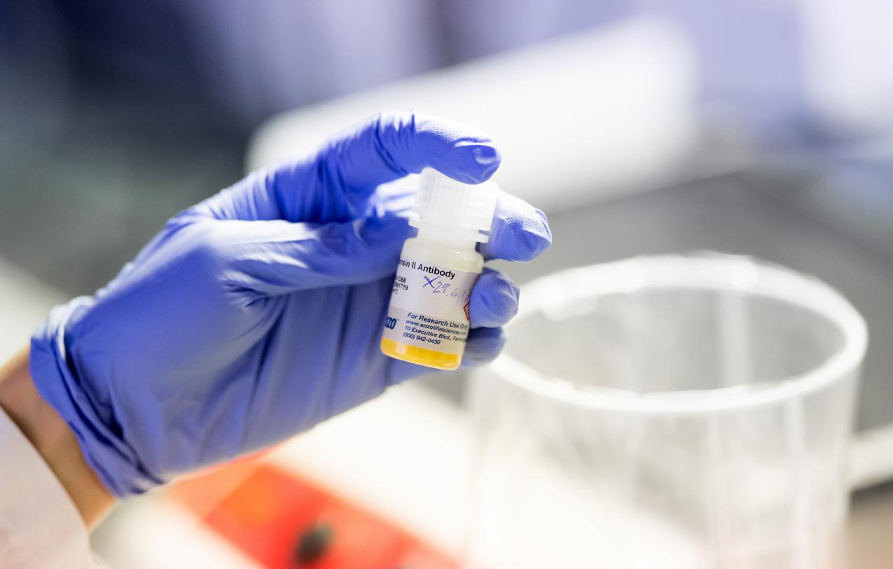 Lab technician examines sample