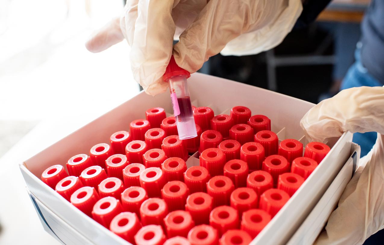 Lab technician files blood samples