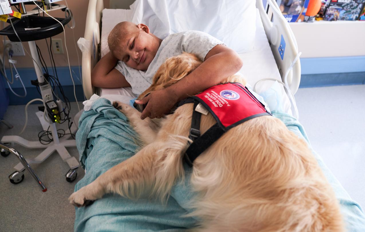 boy cuddling with service dog in hospital bed 