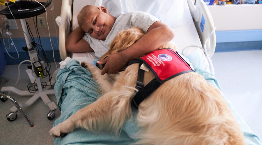 Child lays with service dog on a hospital bed