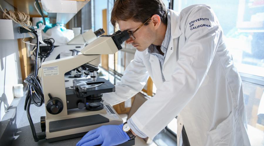 Man looking into a microscope 