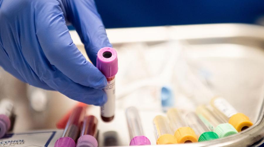 Vials of blood are handled by a researcher