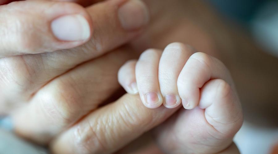 An infant holds an adult's finger