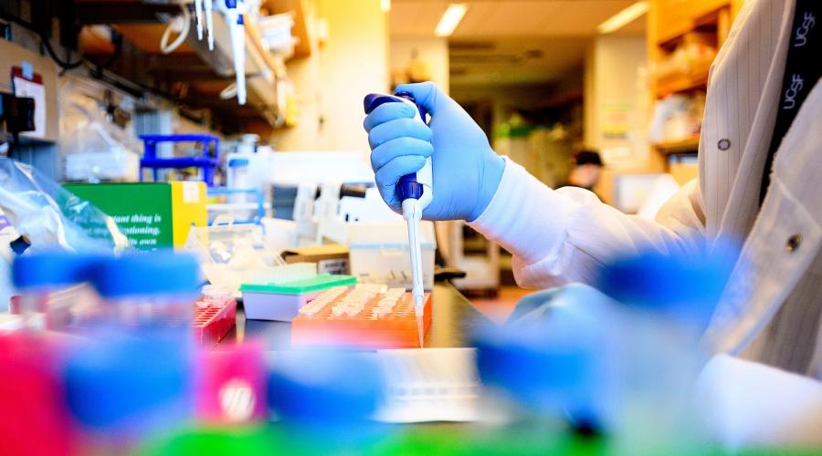 A research associate works in a lab (Photo by Noah Berger)