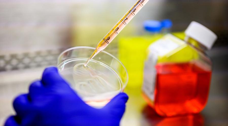 A researcher holds a pipette. 
